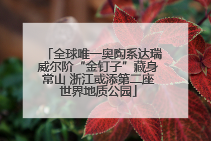 全球唯一奥陶系达瑞威尔阶“金钉子”藏身常山 浙江或添第二座世界地质公园