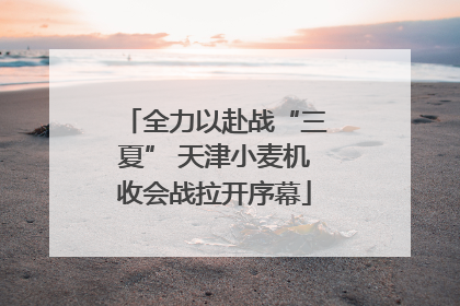 全力以赴战“三夏” 天津小麦机收会战拉开序幕