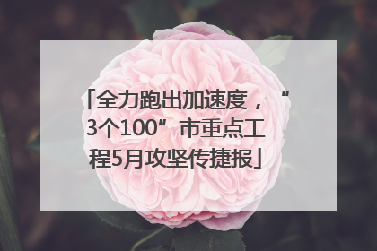 全力跑出加速度，“3个100”市重点工程5月攻坚传捷报