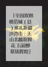 全国双拥模范城（县）巡礼新疆沙湾市：天山北麓双拥花 五届蝉联铸辉煌