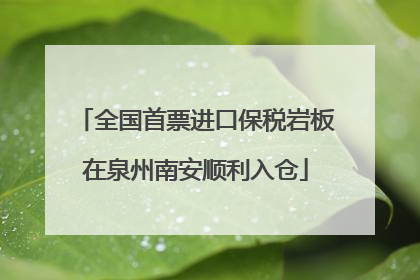 全国首票进口保税岩板在泉州南安顺利入仓