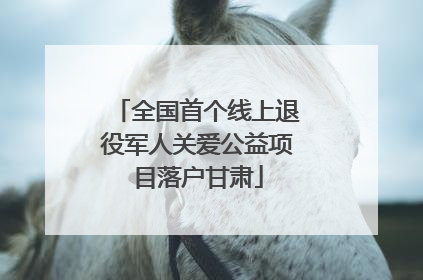 全国首个线上退役军人关爱公益项目落户甘肃