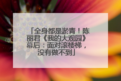 全身都是淤青！陈丽君《我的大观园》幕后：面对滚楼梯，没有做不到