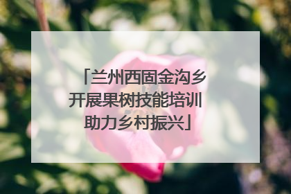 兰州西固金沟乡开展果树技能培训 助力乡村振兴