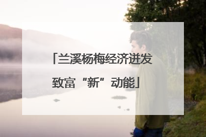 兰溪杨梅经济迸发致富“新”动能