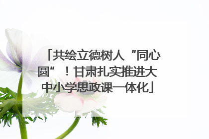 共绘立德树人“同心圆”！甘肃扎实推进大中小学思政课一体化