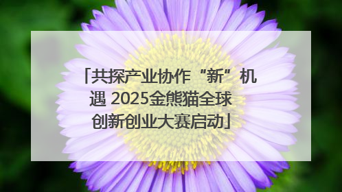 共探产业协作“新”机遇 2025金熊猫全球创新创业大赛启动