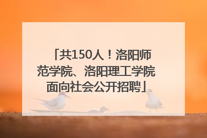 共150人！洛阳师范学院、洛阳理工学院面向社会公开招聘
