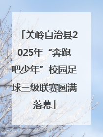 关岭自治县2025年“奔跑吧少年”校园足球三级联赛圆满落幕