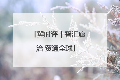冀时评｜智汇廊洽 贸通全球