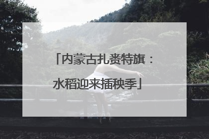 内蒙古扎赉特旗：水稻迎来插秧季