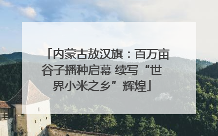 内蒙古敖汉旗：百万亩谷子播种启幕 续写“世界小米之乡”辉煌
