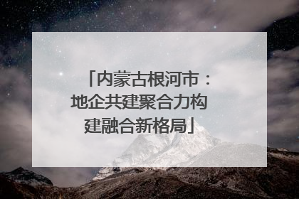内蒙古根河市：地企共建聚合力构建融合新格局