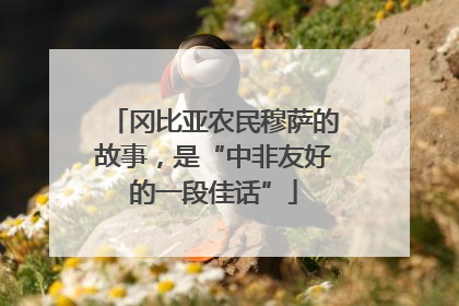 冈比亚农民穆萨的故事，是“中非友好的一段佳话”
