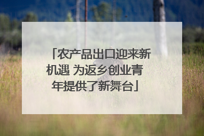 农产品出口迎来新机遇 为返乡创业青年提供了新舞台