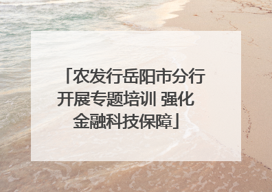 农发行岳阳市分行开展专题培训 强化金融科技保障
