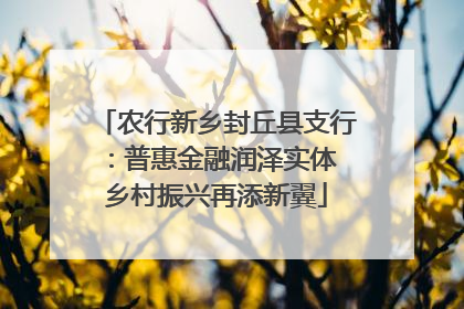 农行新乡封丘县支行：普惠金融润泽实体 乡村振兴再添新翼