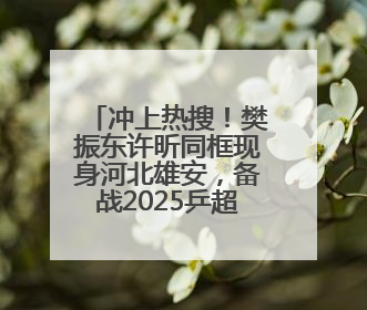 冲上热搜！樊振东许昕同框现身河北雄安，备战2025乒超联赛