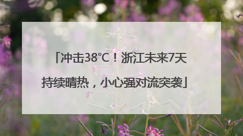 冲击38℃！浙江未来7天持续晴热，小心强对流突袭
