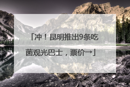 冲！昆明推出9条吃菌观光巴士，票价→