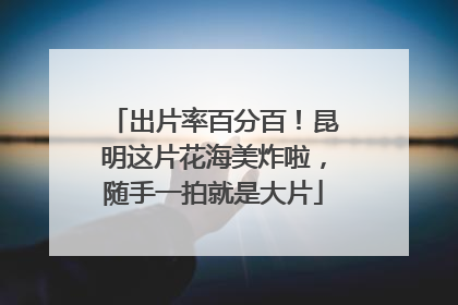 出片率百分百！昆明这片花海美炸啦，随手一拍就是大片