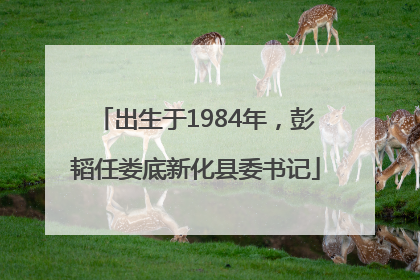 出生于1984年，彭韬任娄底新化县委书记