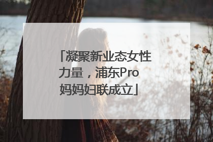 凝聚新业态女性力量，浦东Pro妈妈妇联成立