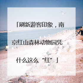 刷新游客印象，南京红山森林动物园凭什么这么“红”