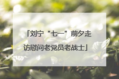 刘宁“七一”前夕走访慰问老党员老战士