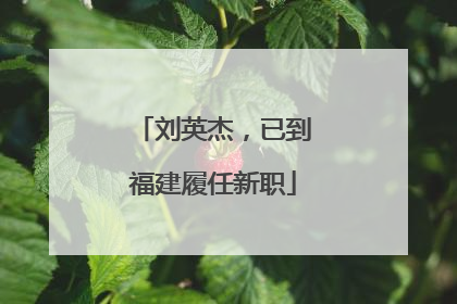 刘英杰，已到福建履任新职