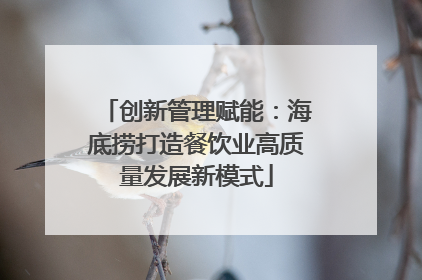 创新管理赋能：海底捞打造餐饮业高质量发展新模式