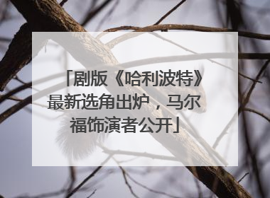 剧版《哈利波特》最新选角出炉，马尔福饰演者公开