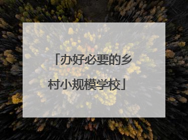 办好必要的乡村小规模学校