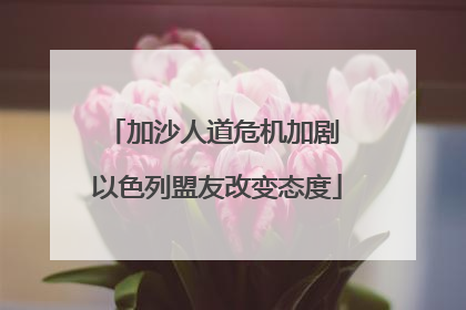 加沙人道危机加剧 以色列盟友改变态度