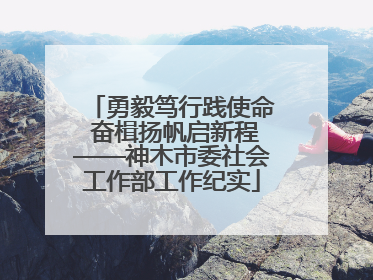 勇毅笃行践使命 奋楫扬帆启新程——神木市委社会工作部工作纪实