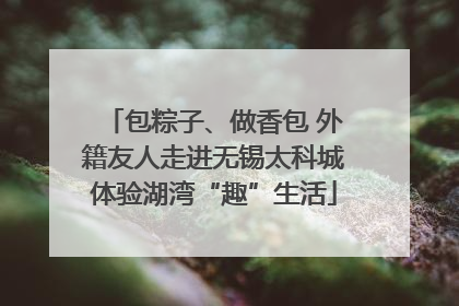 包粽子、做香包 外籍友人走进无锡太科城体验湖湾“趣”生活