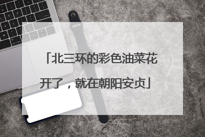 北三环的彩色油菜花开了，就在朝阳安贞