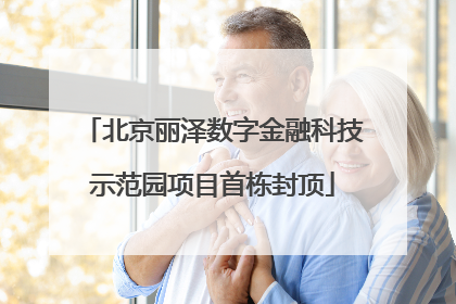 北京丽泽数字金融科技示范园项目首栋封顶