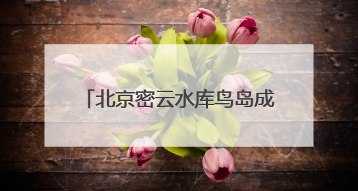 北京密云水库鸟岛成了生态“训练场”