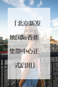北京新发地国际香蕉集散中心正式启用