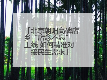 北京朝阳高碑店乡“店念不忘” 上线 如何精准对接民生需求