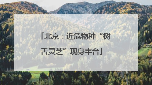 北京：近危物种“树舌灵芝”现身丰台