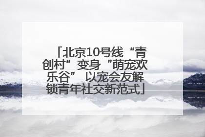 北京10号线“青创村”变身“萌宠欢乐谷” 以宠会友解锁青年社交新范式