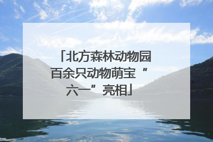 北方森林动物园百余只动物萌宝“六一”亮相
