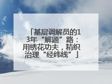 基层调解员的13年“解题”路：用绣花功夫，精织治理“经纬线”