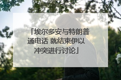 埃尔多安与特朗普通电话 就结束伊以冲突进行讨论