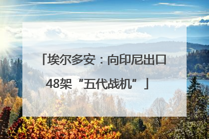 埃尔多安：向印尼出口48架“五代战机”