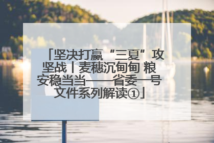 坚决打赢“三夏”攻坚战丨麦穗沉甸甸 粮安稳当当——省委一号文件系列解读①