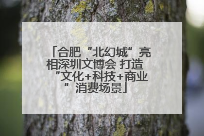 合肥“北幻城”亮相深圳文博会 打造“文化+科技+商业”消费场景