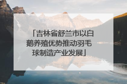 吉林省舒兰市以白鹅养殖优势推动羽毛球制造产业发展